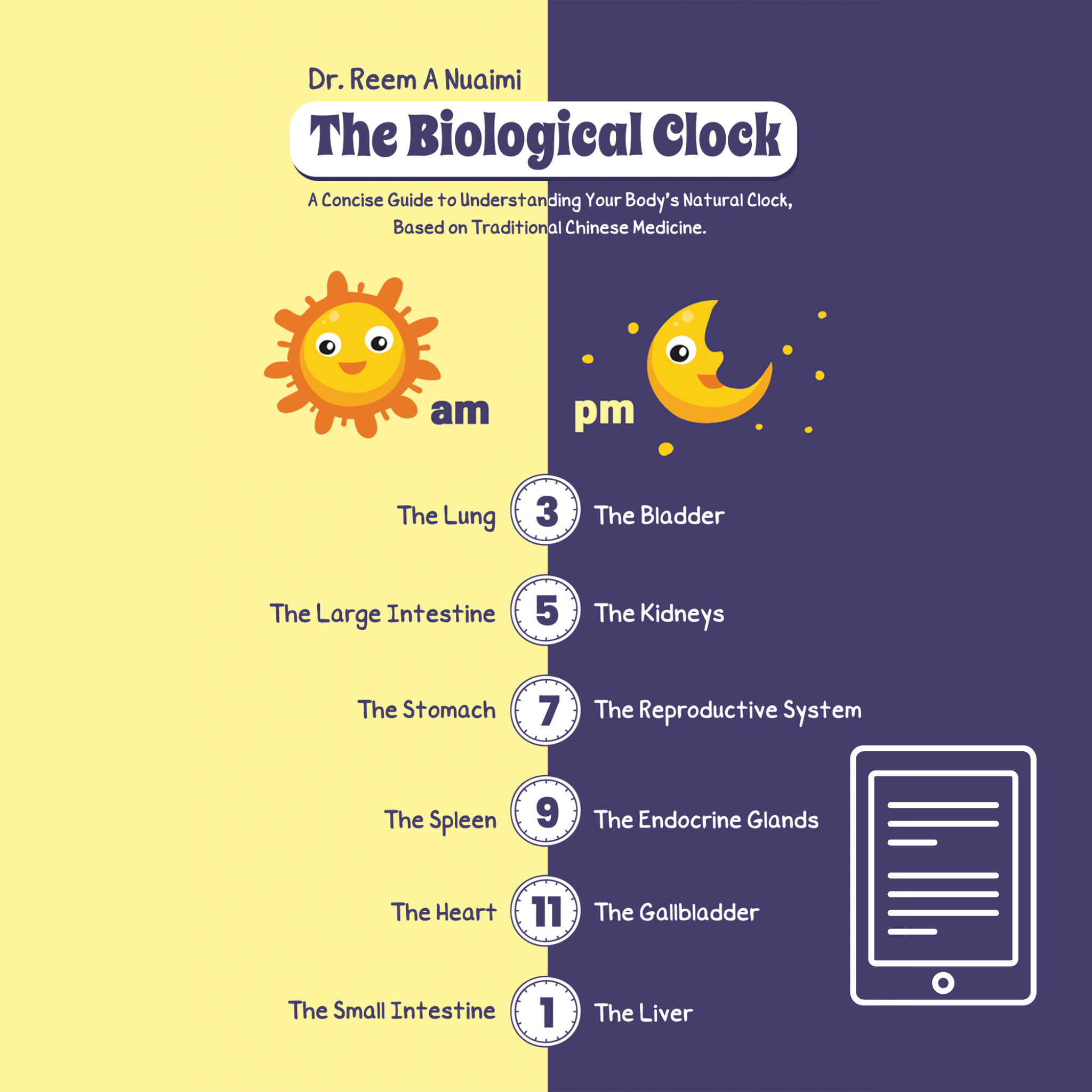The Biological Clock