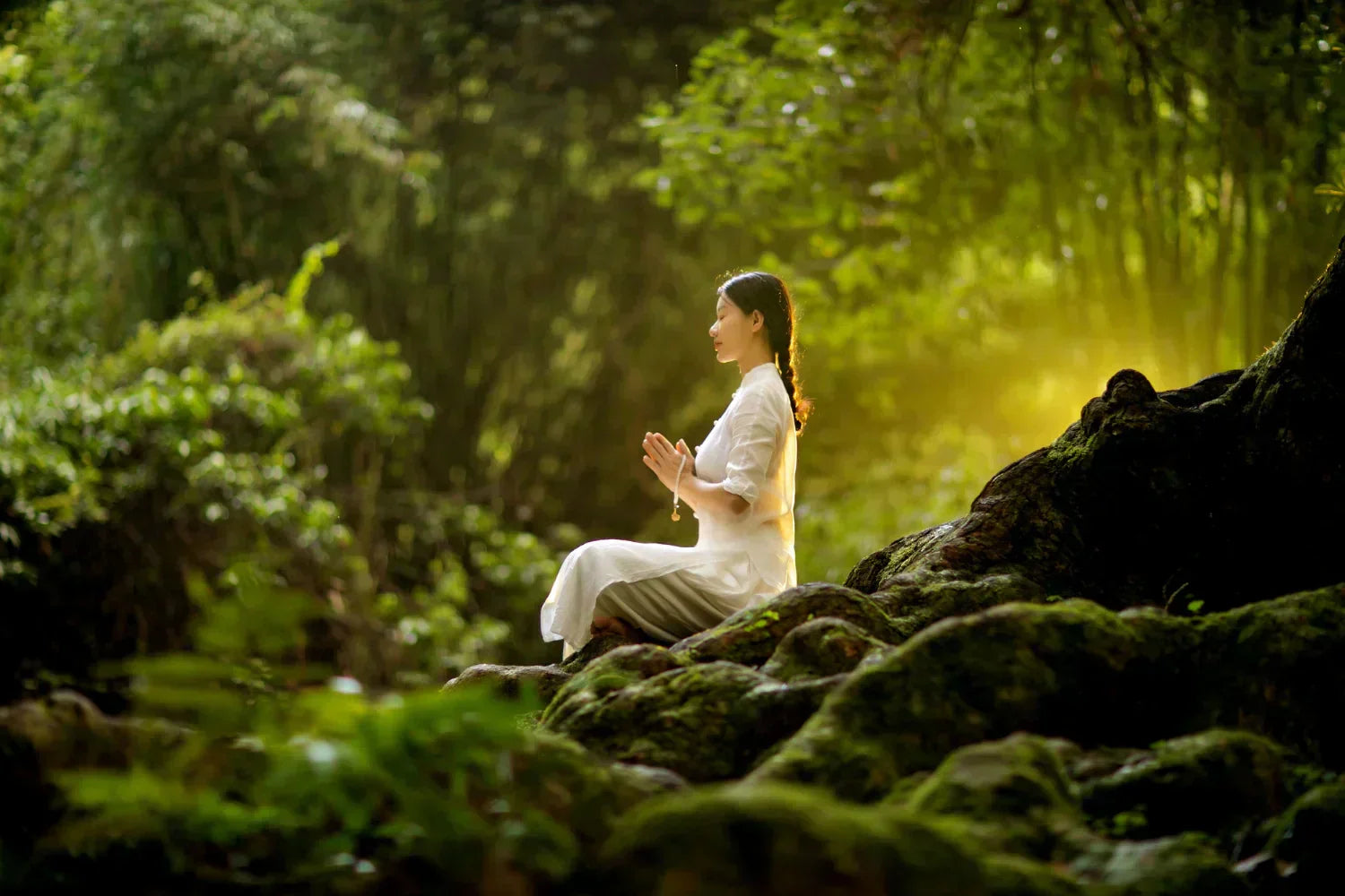 TEAM-CBT vs Mindfulness: Can They Work Together?